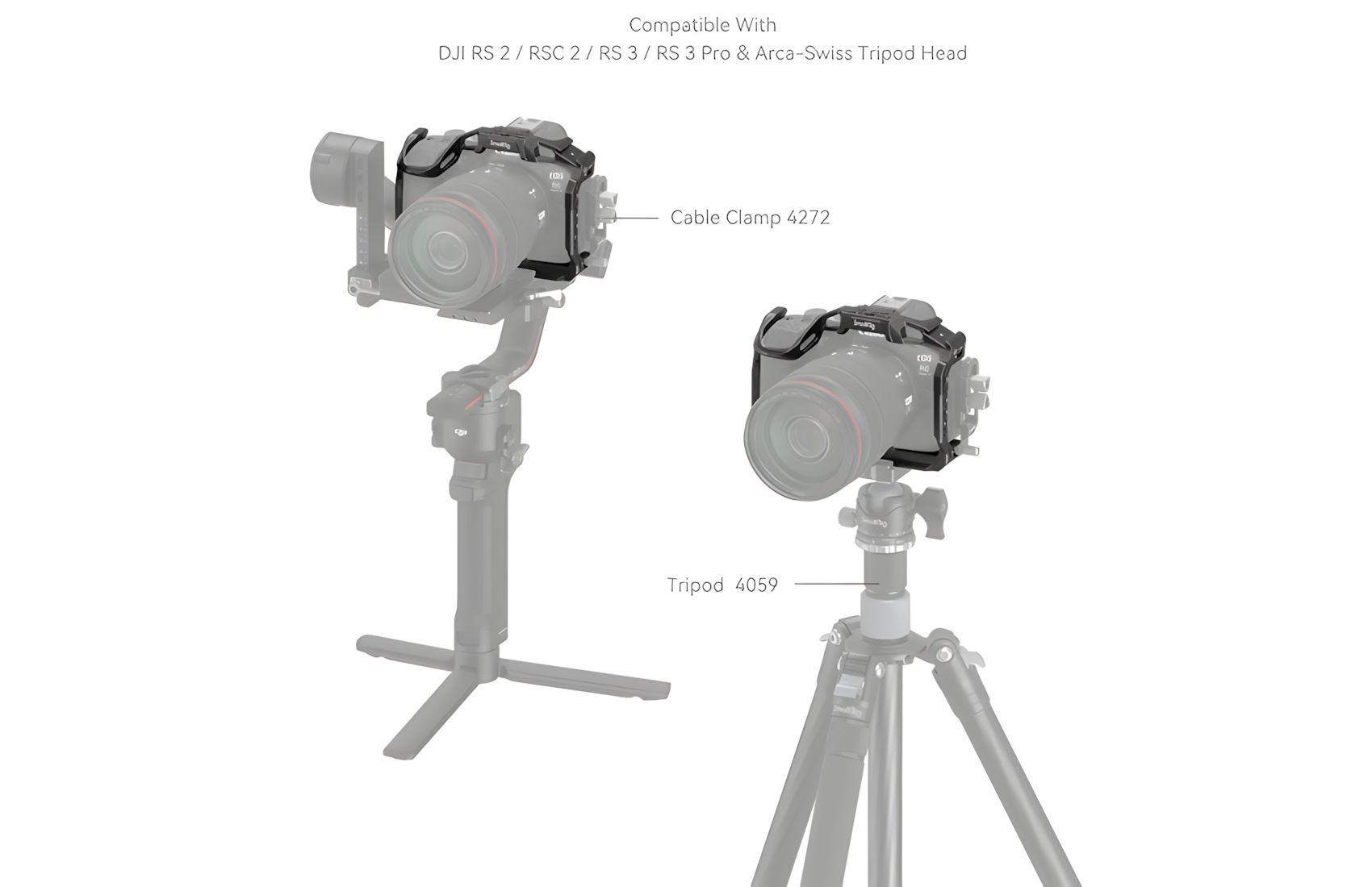 Black Mamba for EOS R6 MKII
